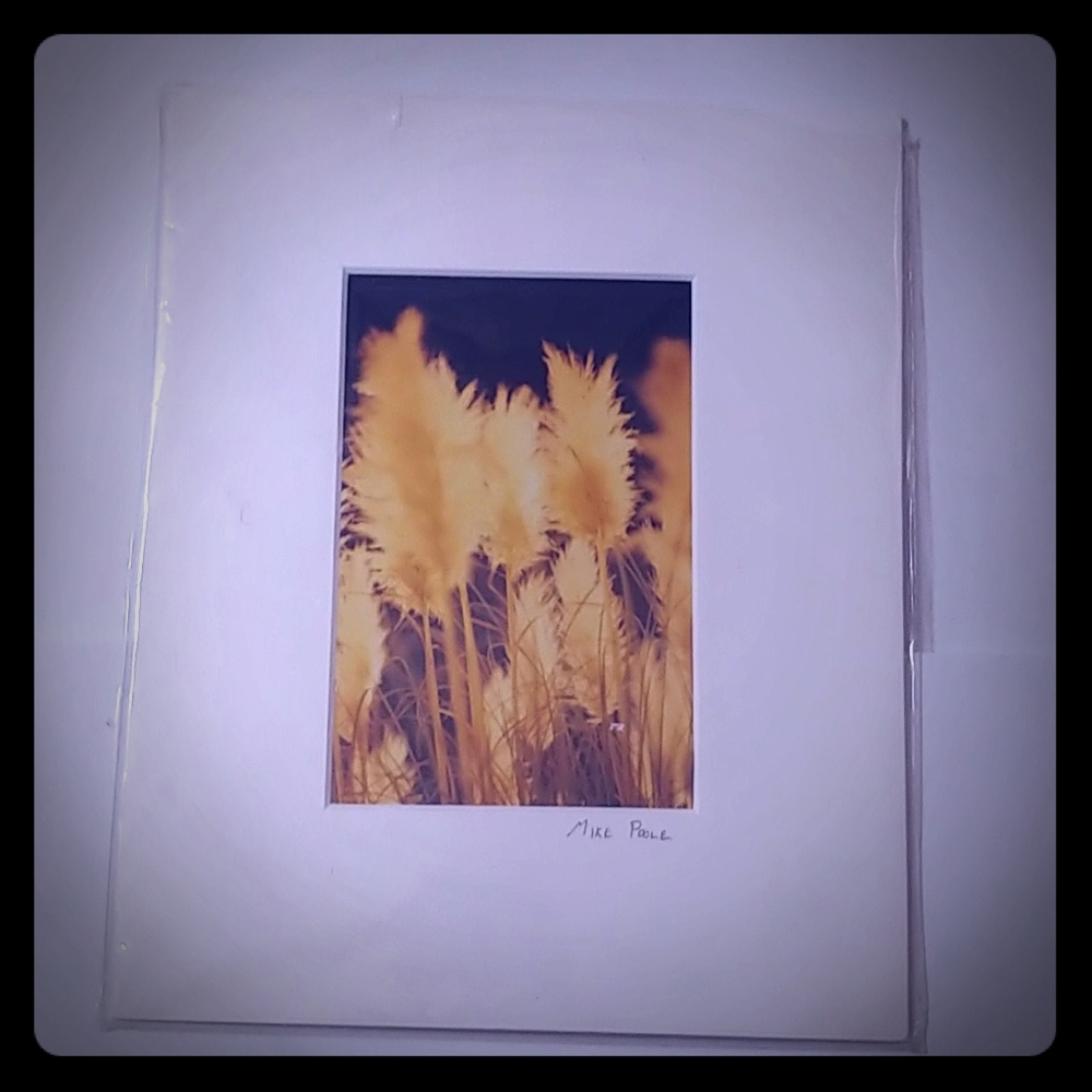 Homemade photography framework